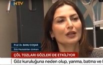 NTV, Sabah Bülteni Çöl Tozları ve Göz... 27.04.2024